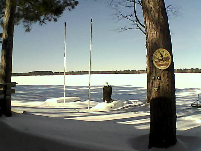 Whiteface Cam Image - Wed, 02/17/2016 12:03pm 