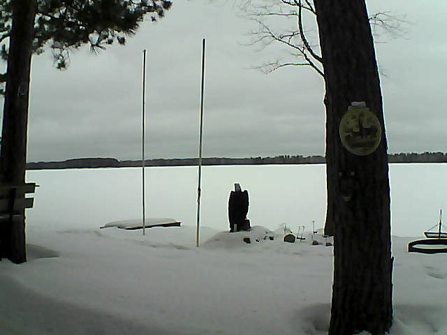 Whiteface Cam Image - Wed, 02/24/2016 11:04am 