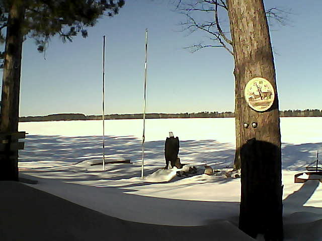 Whiteface Cam Image - Tue, 03/01/2016 10:43am 