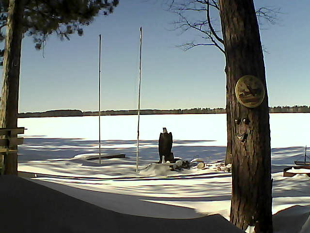 Whiteface Cam Image - Tue, 03/01/2016 1:03pm 