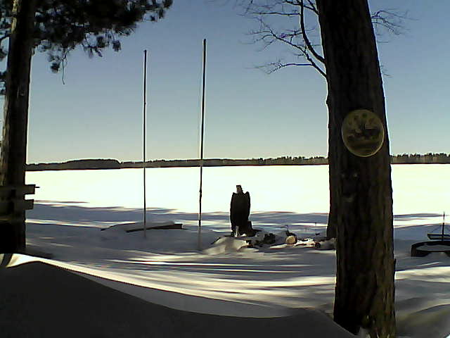 Whiteface Cam Image - Tue, 03/01/2016 2:03pm 