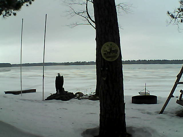 Whiteface Cam Image - Tue, 03/08/2016 2:33pm 