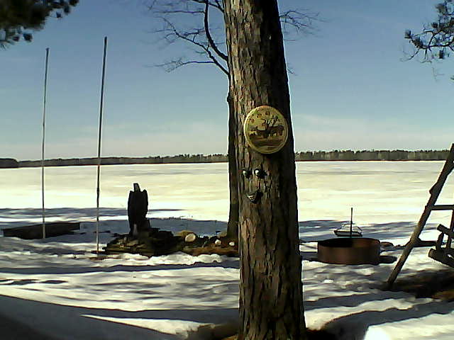 Whiteface Cam Image - Fri, 03/11/2016 1:15pm 