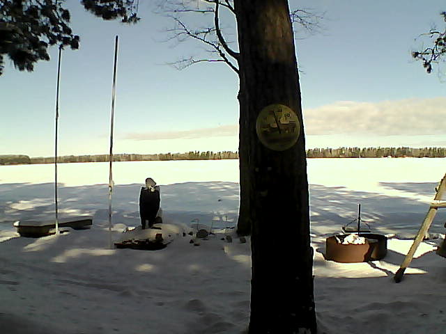 Whiteface Cam Image - Sat, 03/19/2016 9:54am 