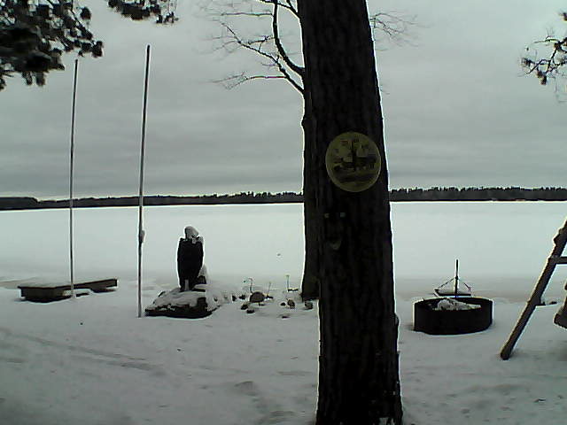 Whiteface Cam Image - Sat, 03/19/2016 3:54pm 