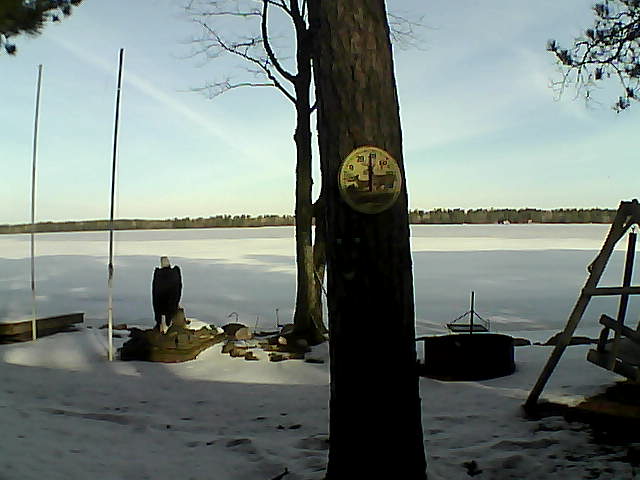 Whiteface Cam Image - Tue, 03/29/2016 8:55am 