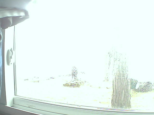 Whiteface Cam Image - Sat, 05/14/2016 10:30am 