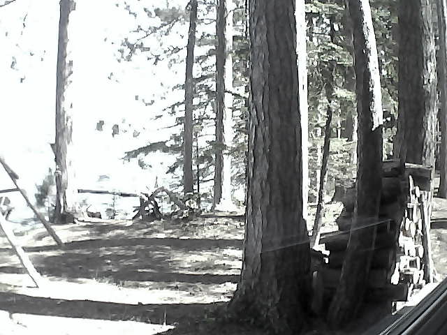 Whiteface Cam Image - Mon, 05/30/2016 10:10am 