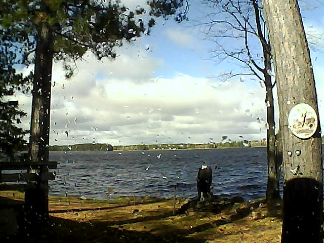 Whiteface Cam Image - Wed, 10/12/2016 11:38am 