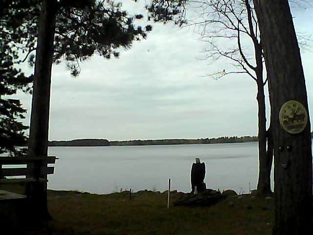 Whiteface Cam Image - Fri, 10/14/2016 12:57pm 