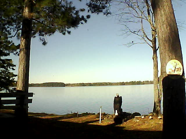 Whiteface Cam Image - Mon, 10/24/2016 10:59am 