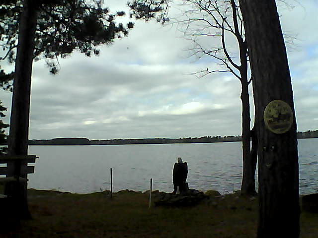 Whiteface Cam Image - Thu, 11/03/2016 2:08pm 