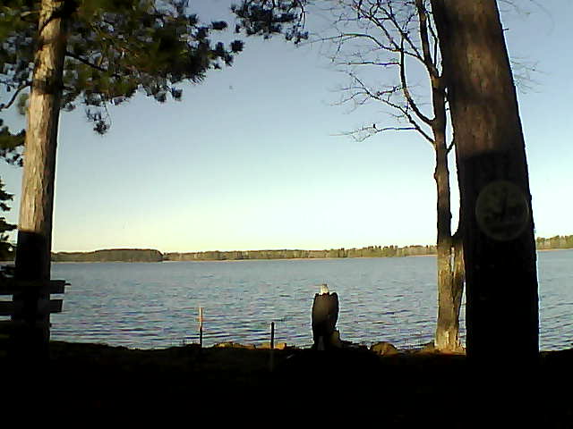 Whiteface Cam Image - Fri, 11/04/2016 10:18am 