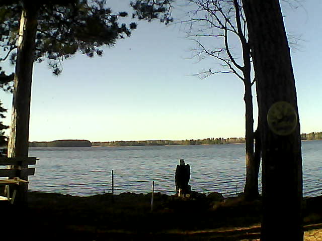 Whiteface Cam Image - Sun, 11/06/2016 1:49pm 