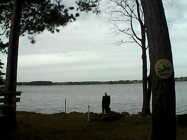 Whiteface Cam Image - Mon, 11/07/2016 12:17pm 