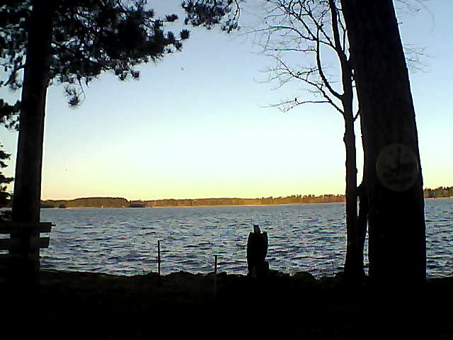 Whiteface Cam Image - Tue, 11/08/2016 7:29am 