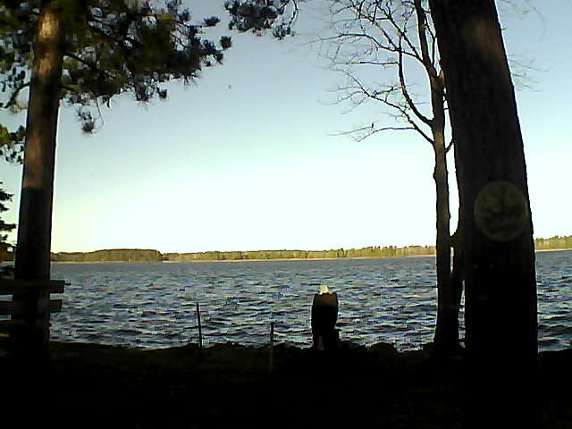 Whiteface Cam Image - Tue, 11/08/2016 8:59am 