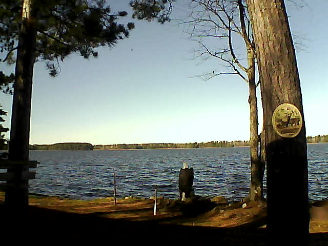 Whiteface Cam Image - Tue, 11/08/2016 11:09am 