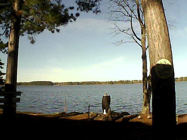 Whiteface Cam Image - Wed, 11/09/2016 10:19am 