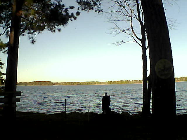 Whiteface Cam Image - Thu, 11/10/2016 8:28am 