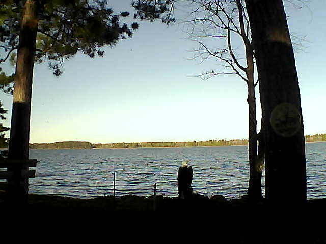 Whiteface Cam Image - Thu, 11/10/2016 8:58am 