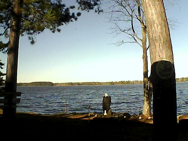 Whiteface Cam Image - Thu, 11/10/2016 10:08am 