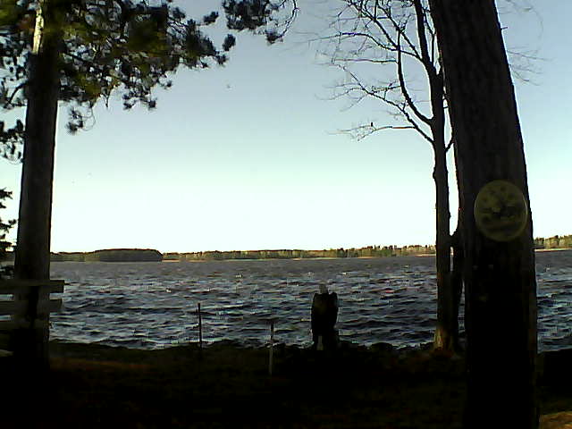 Whiteface Cam Image - Thu, 11/10/2016 1:55pm 