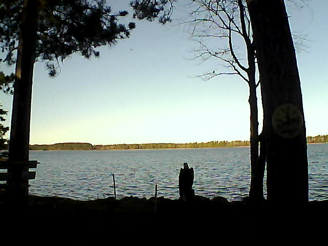 Whiteface Cam Image - Fri, 11/11/2016 8:22am 