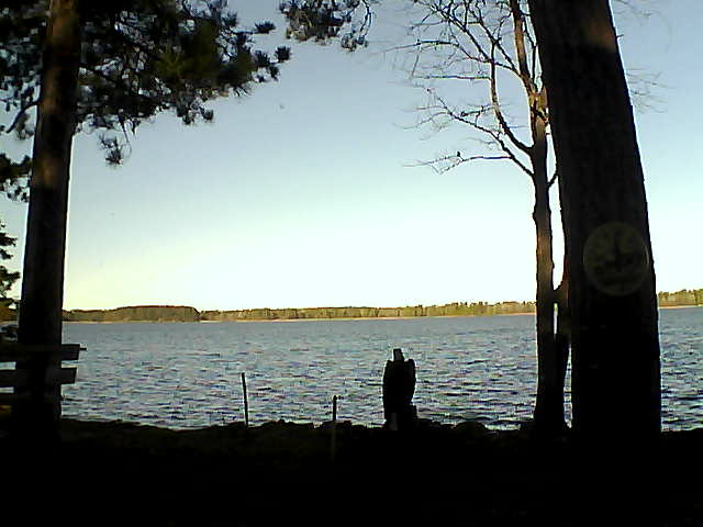 Whiteface Cam Image - Fri, 11/11/2016 8:42am 