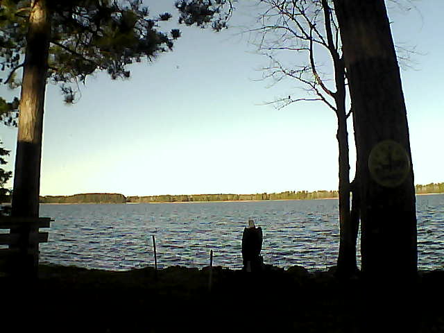 Whiteface Cam Image - Fri, 11/11/2016 9:02am 