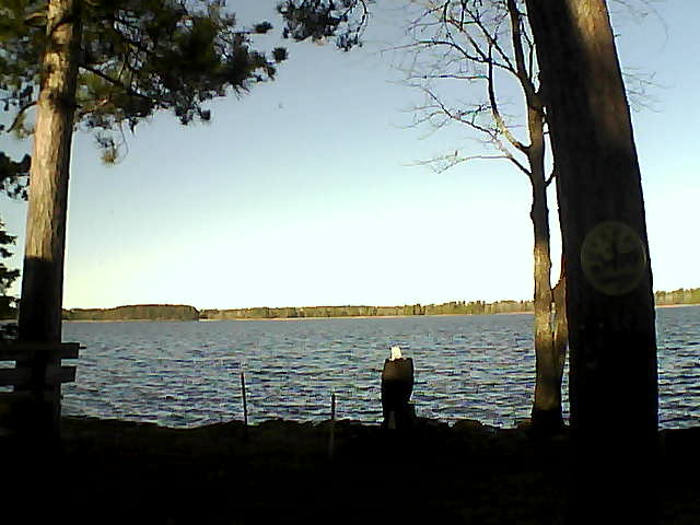 Whiteface Cam Image - Fri, 11/11/2016 9:22am 