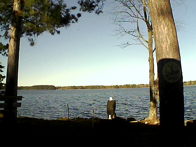 Whiteface Cam Image - Fri, 11/11/2016 9:52am 