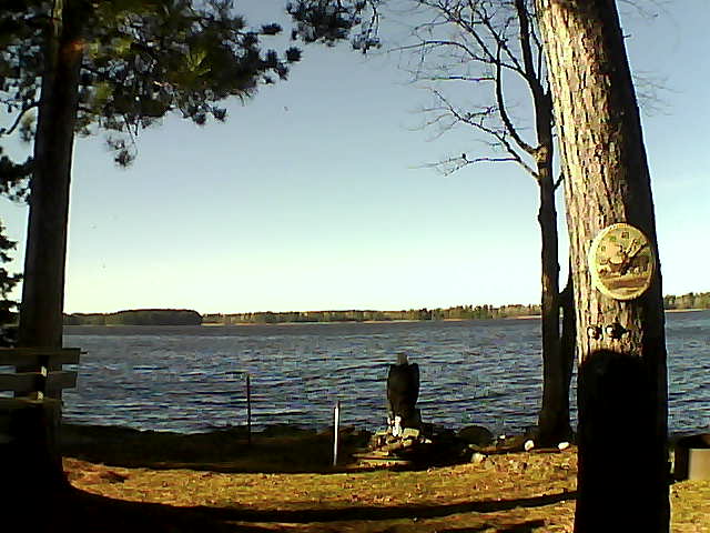 Whiteface Cam Image - Sat, 11/12/2016 1:22pm 