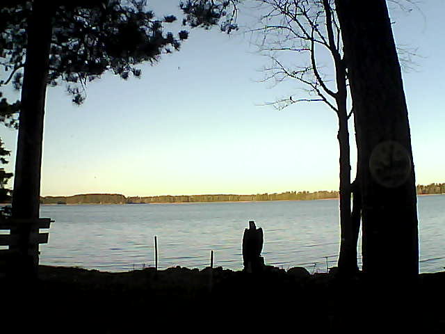 Whiteface Cam Image - Sun, 11/13/2016 8:02am 