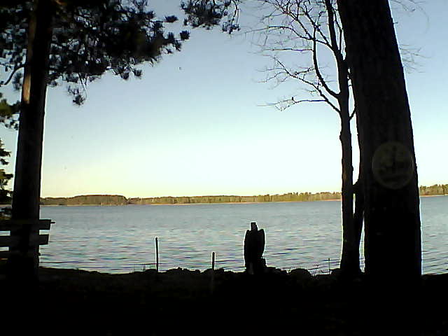 Whiteface Cam Image - Sun, 11/13/2016 8:22am 