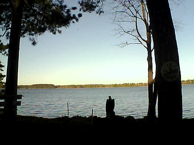 Whiteface Cam Image - Sun, 11/13/2016 8:32am 