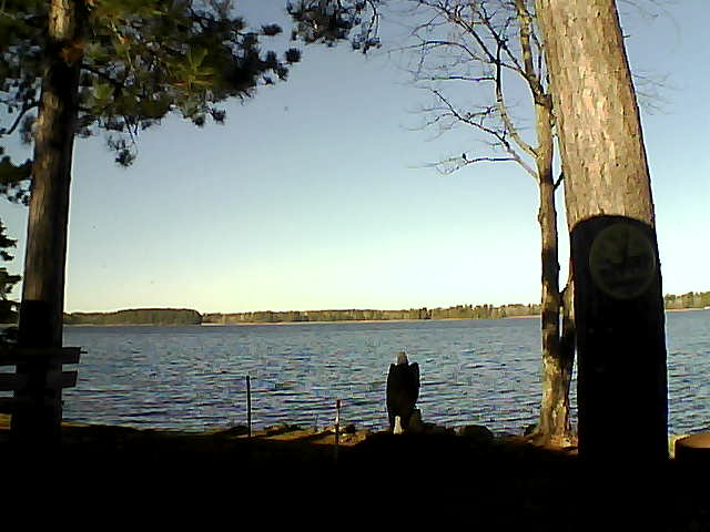 Whiteface Cam Image - Sun, 11/13/2016 10:02am 