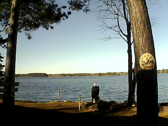 Whiteface Cam Image - Sun, 11/13/2016 11:22am 