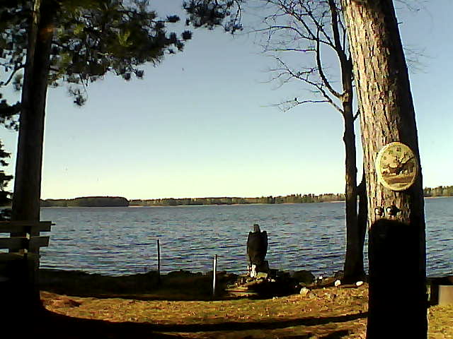 Whiteface Cam Image - Sun, 11/13/2016 1:22pm 