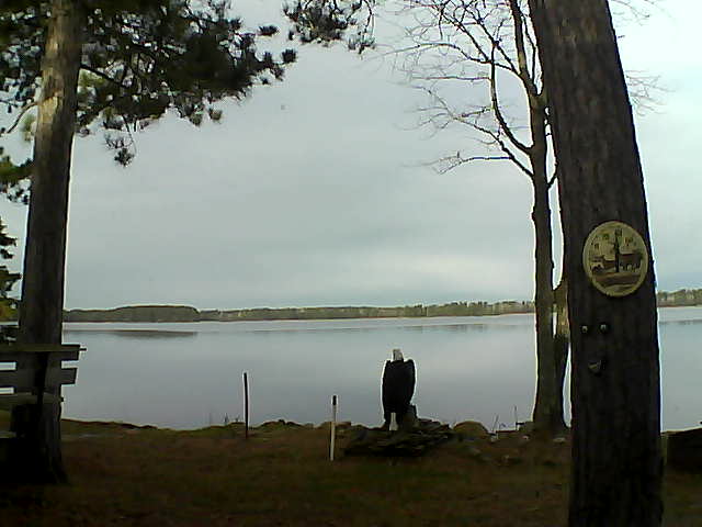 Whiteface Cam Image - Wed, 11/16/2016 8:54am 