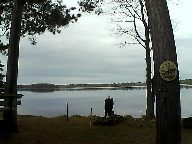 Whiteface Cam Image - Wed, 11/16/2016 10:24am 