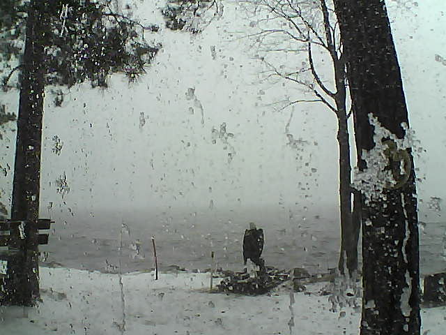 Whiteface Cam Image - Fri, 11/18/2016 11:52am 