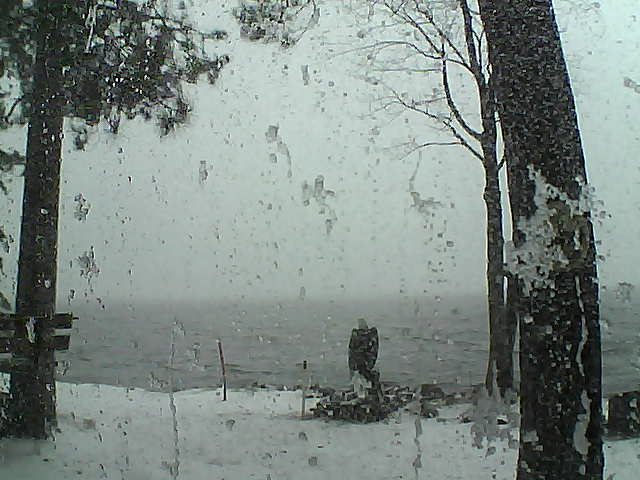 Whiteface Cam Image - Fri, 11/18/2016 12:02pm 