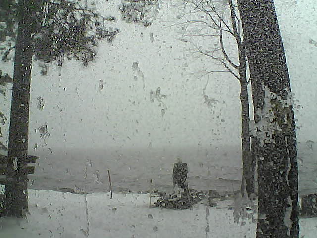 Whiteface Cam Image - Fri, 11/18/2016 12:12pm 