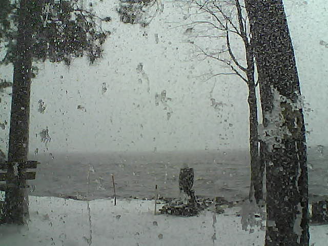 Whiteface Cam Image - Fri, 11/18/2016 12:22pm 