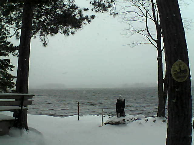 Whiteface Cam Image - Wed, 12/07/2016 4:13pm 