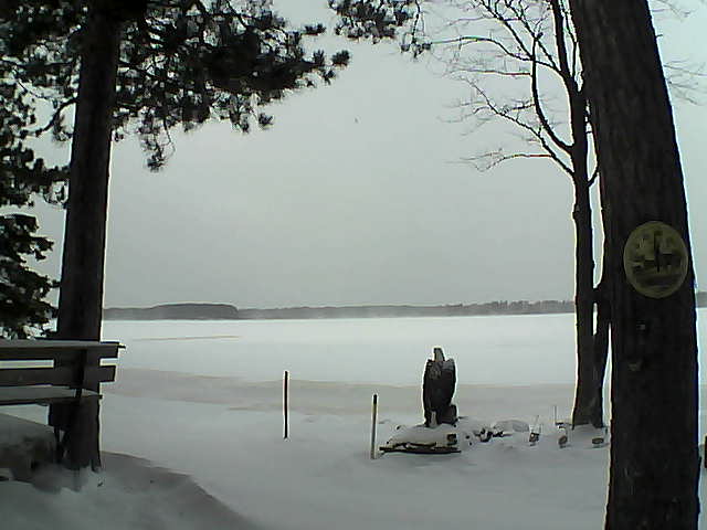 Whiteface Cam Image - Wed, 12/14/2016 11:34am 