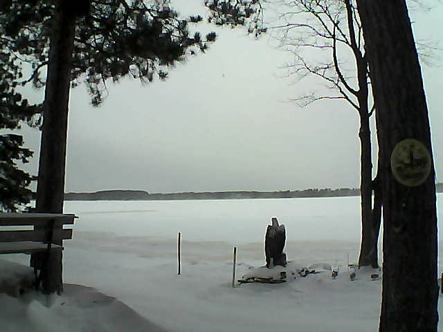 Whiteface Cam Image - Wed, 12/14/2016 1:14pm 