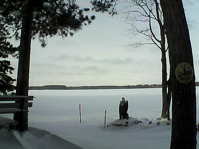 Whiteface Cam Image - Sat, 12/17/2016 11:12am 