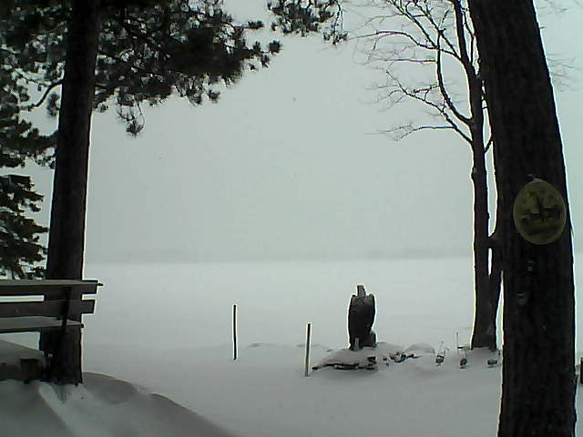 Whiteface Cam Image - Tue, 12/20/2016 8:01am 